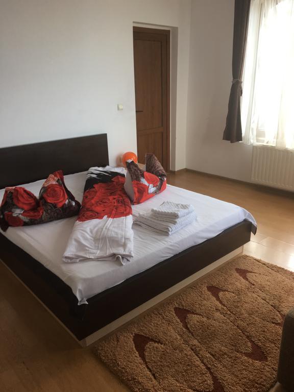 Pensiunea Rubin Ranca Bagian luar foto